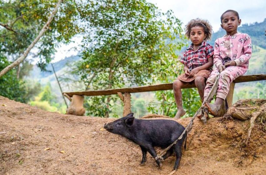  El fotógrafo publicó una serie de fotos que muestran cómo es la infancia en diferentes partes del mundo