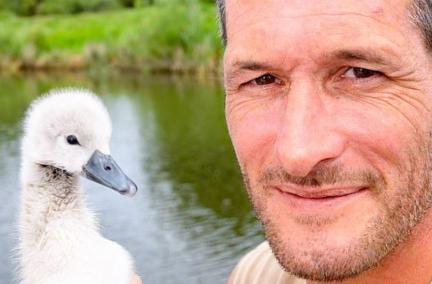  Una vez un hombre salvó a un pequeño patito, y éste creció convirtiéndose en un hermoso cisne que ahora no quiere alejarse de él.